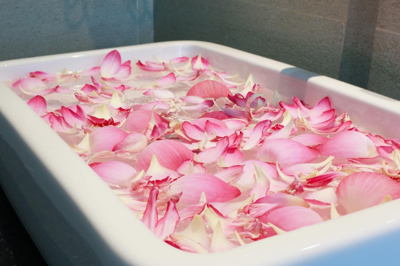 Zita Angkor Hotel Siem Reap Ngoại thất bức ảnh